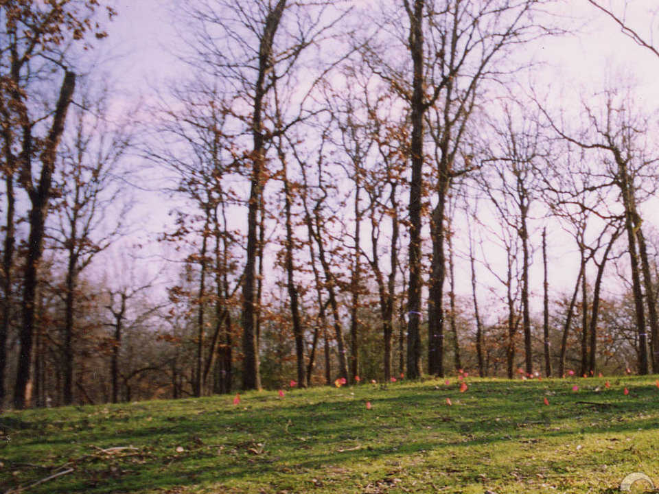 Pre-excavation Site — Glenn carefully planned the placement of his underground home so the natural environment was left virtually undisturbed.