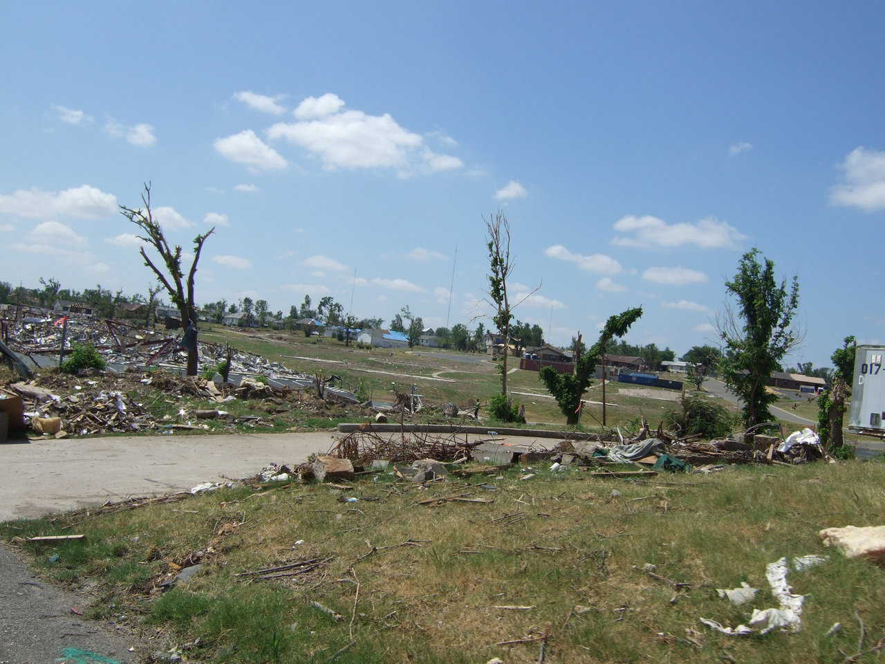 The tornado easily uprooted most of the trees.