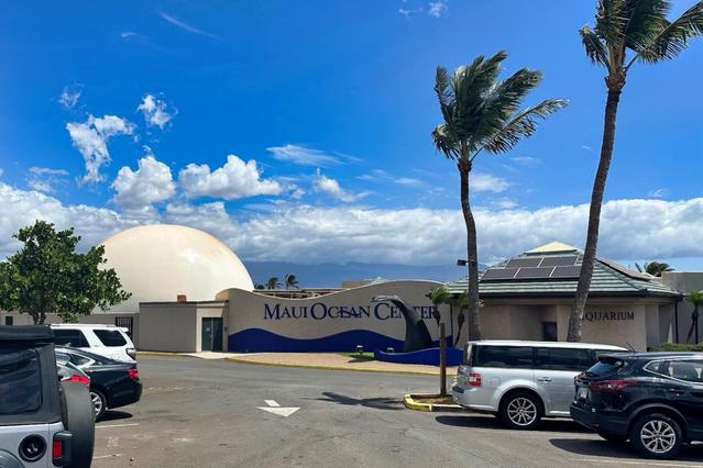 The Maui Ocean Center’s parking lot became a disaster relief hub after the August fires.