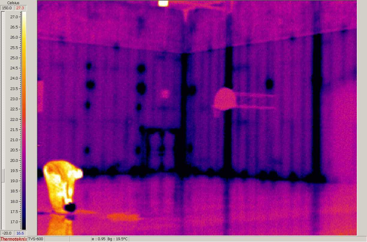 Internal image of a metal gymnasium near by. Here again note the colors of the exterior walls.