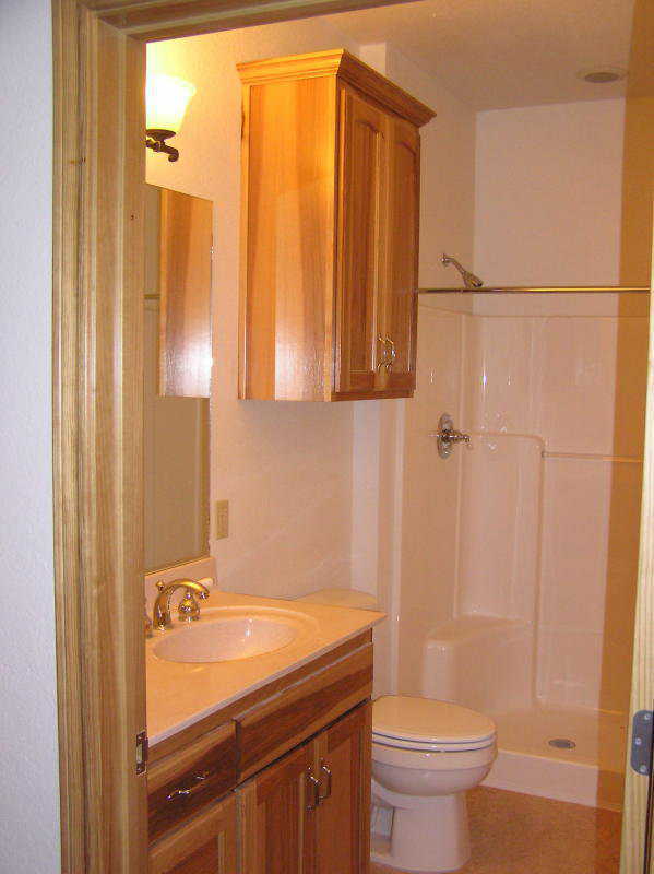 Guest bath — An efficient use of space provides all the necessary comforts in this guest bathroom.
