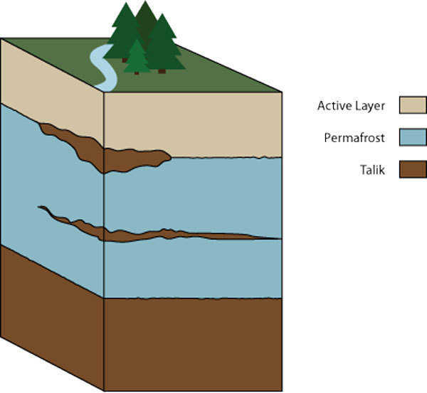 Permafrost layers — The active layer will melt and freeze as the seasons change. While the permafrost stays permanently frozen and the talik never gets cold enough to freeze.