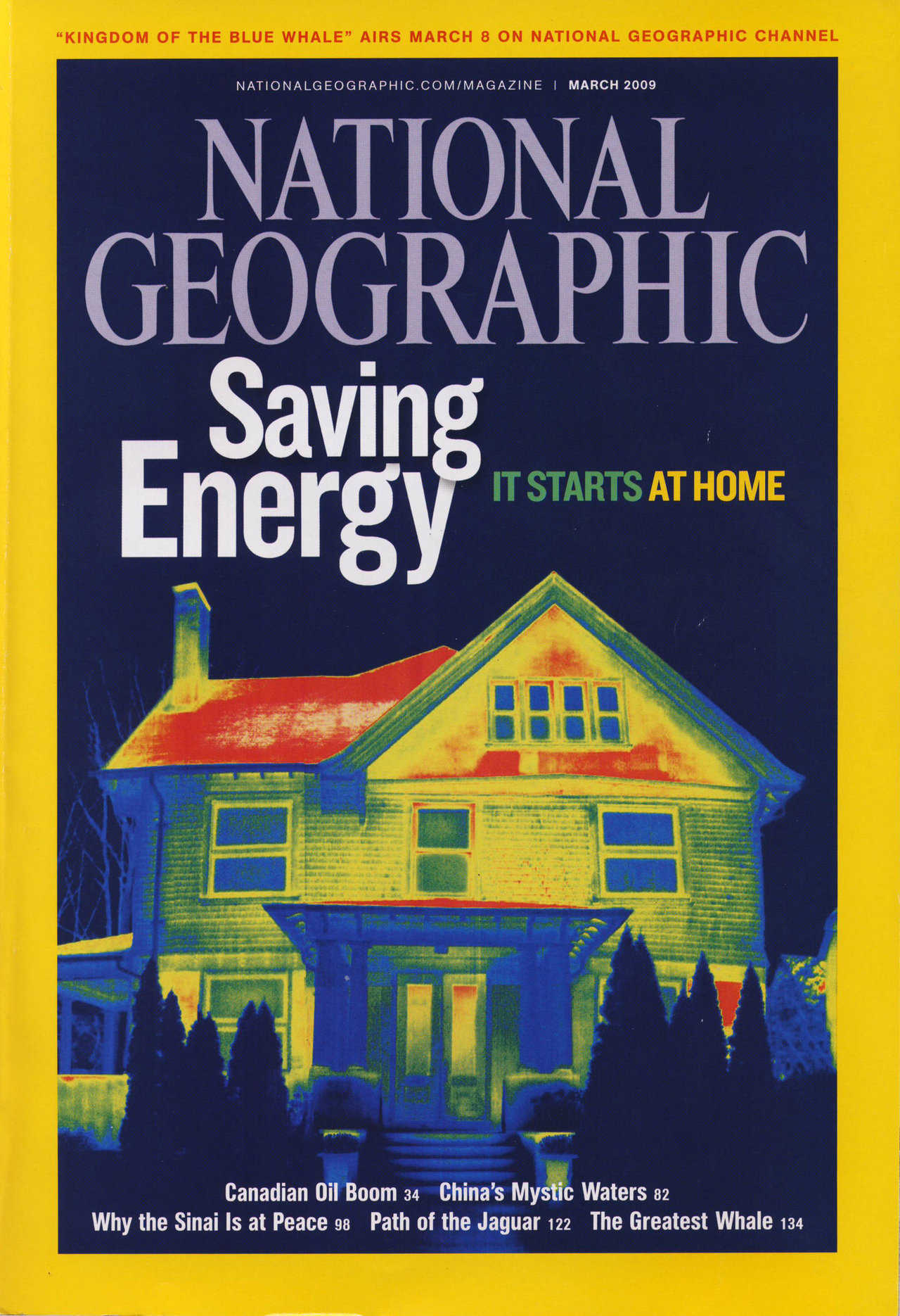 Figure 2.8 — March 2009 National Geographic features thermograph of conventionally insulated home.  Note heat loss, especially through the roof.