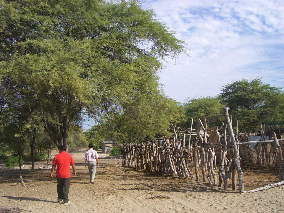 A Low-income project in Piura — This area, unused because of sandy soil and poor access is perfect for low-income housing.  It is along the Pan-American highway and surrounded by grass huts and tin sheds (new homeowners).  With proper planning we can bring water, sewer and quality housing to the people here.