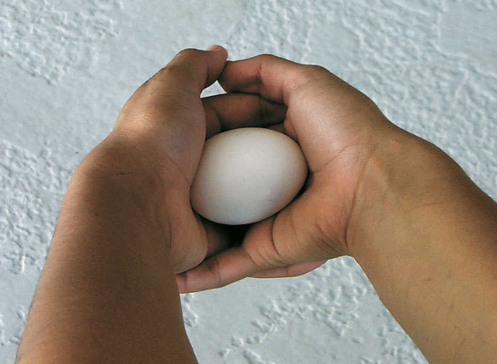 You Try It! — The strength of the Monolithic Dome is demonstrated by placing an egg horizontally in the palm of your hands and applying as much pressure as you possibly can. It is extremely diffcult to break.