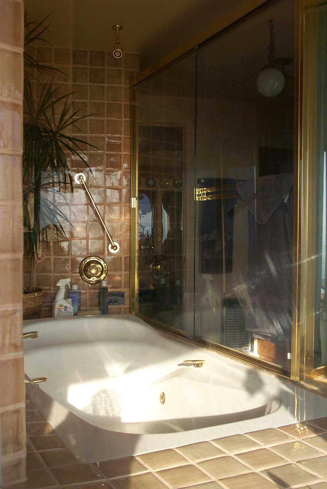 Master Bath — Marble, glass and greenery create luxury and comfort.