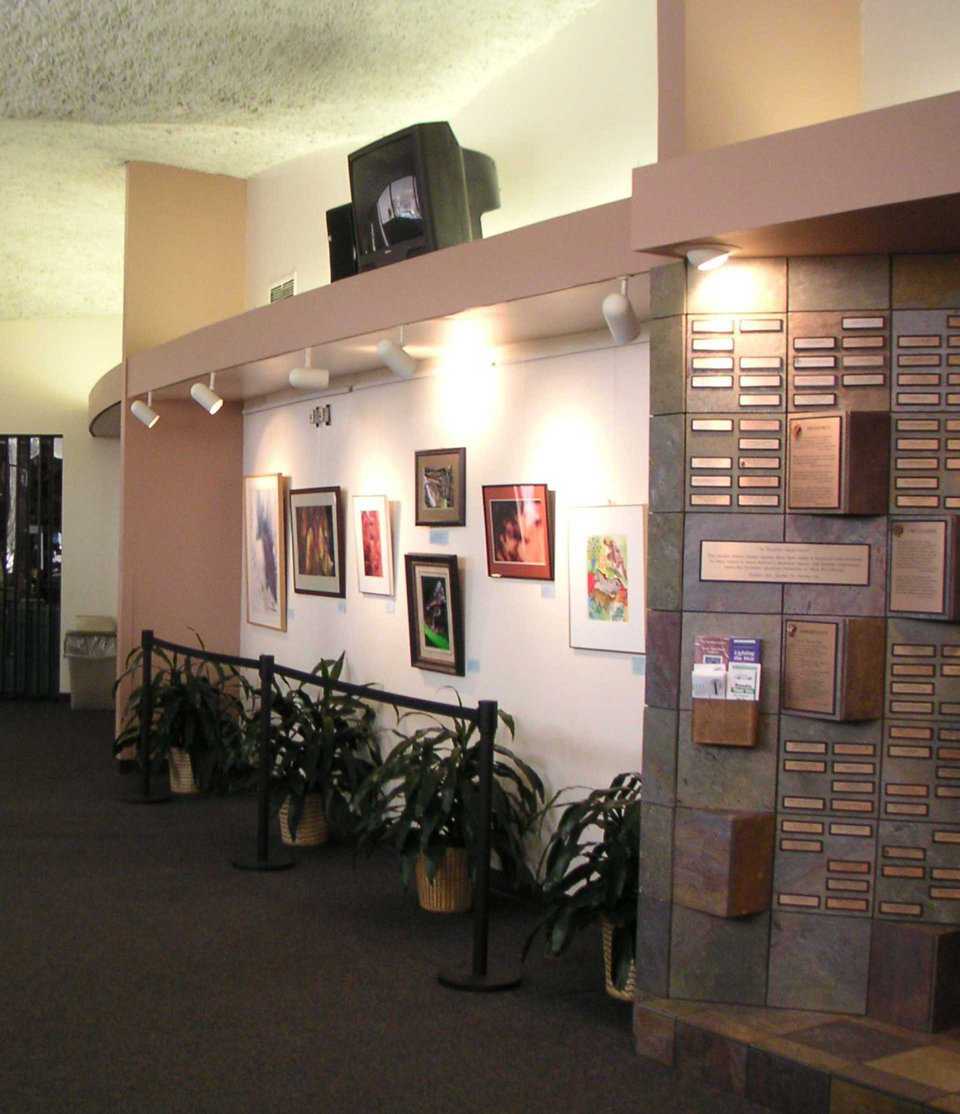 Lobby — Soft lighting, framed art work and plants greet visitors.