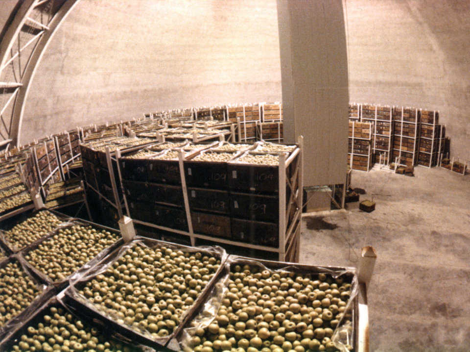 Product Stacking — Product stacking inside a Dome allows for a circular aisle along the inside perimeter of the Dome, as well as a center aisle. This allows for better utilization of space and travel time to load and retrieve product is minimal for both automated and manual retrieval.