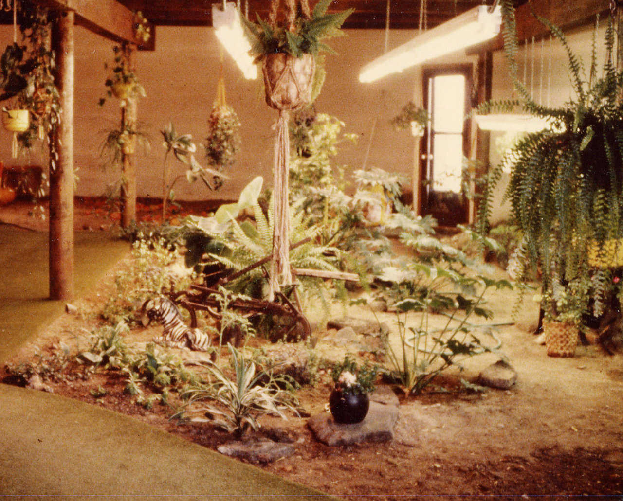 Indoor Garden — Its 1000 square feet included a pond and a banana tree that actually bloomed and bore fruit in 1984.