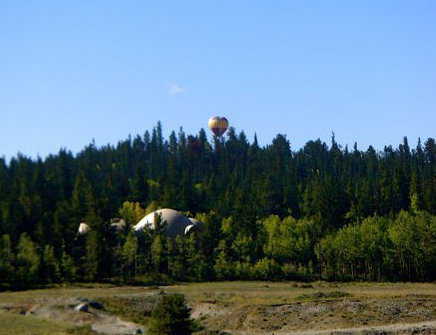 What a Site! — The Wortman dome home is surrounded by Rocky Mountain Bristlecone Pines.