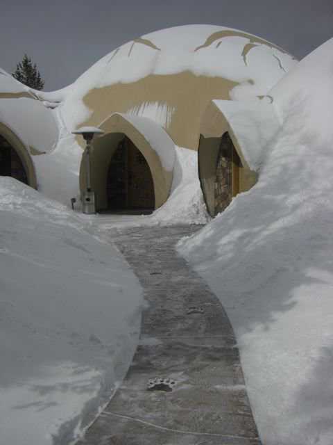 Note the paw print! — If you visit Bristlecone Dome in the winter, follow the bear to the front door.