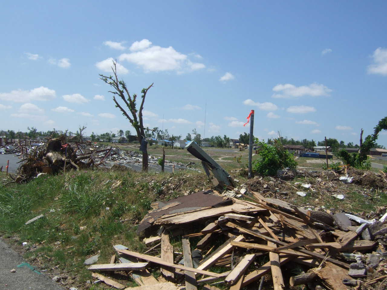 The once inviting landscape is now dotted with ugly piles of wreckage.