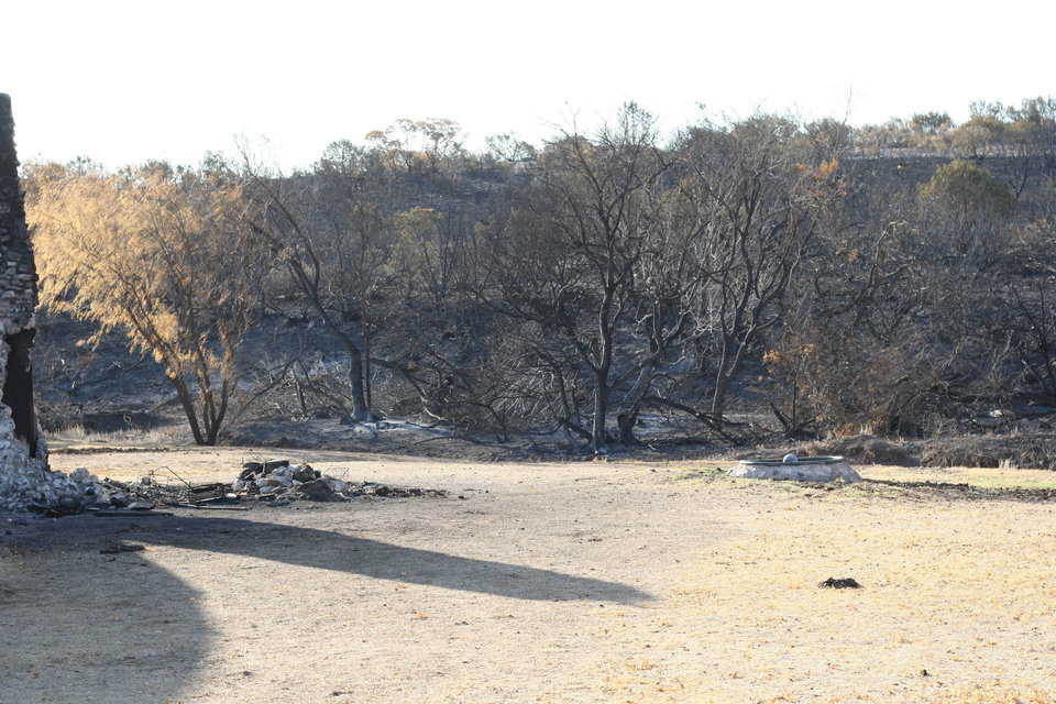 Charred trees surrounded the dome.