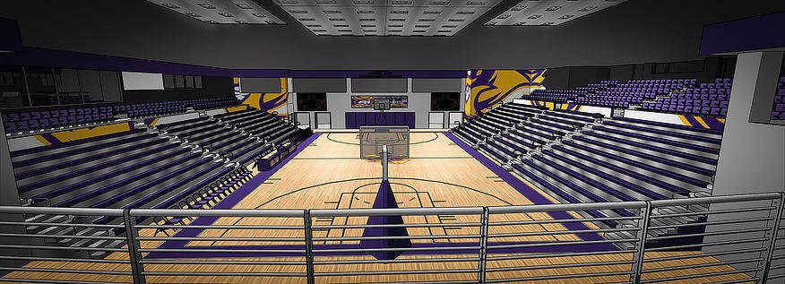 Gymnasium rendering