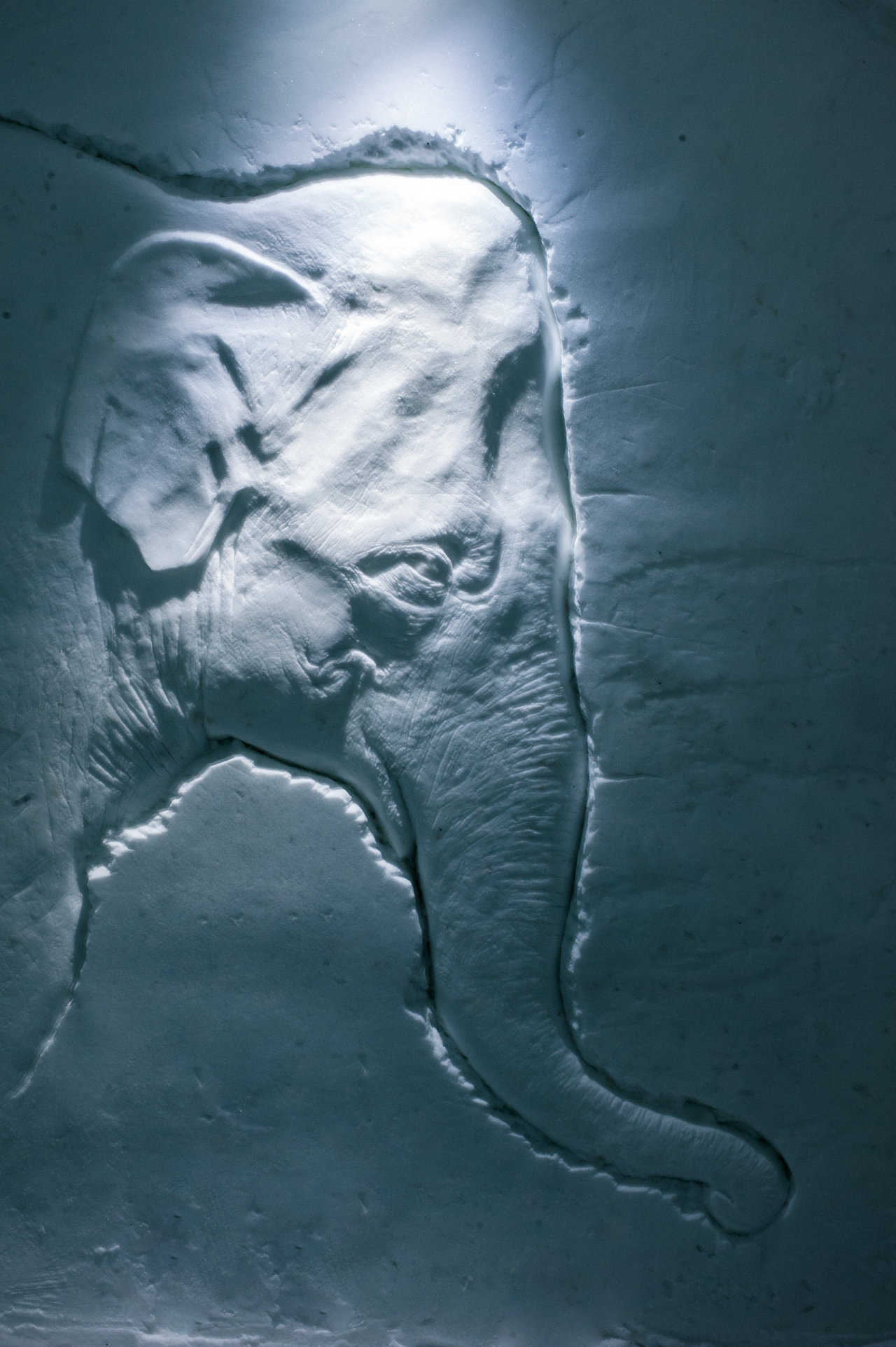 “Don’t say don’t cry” by Petri Tuominen & Urs Koller.