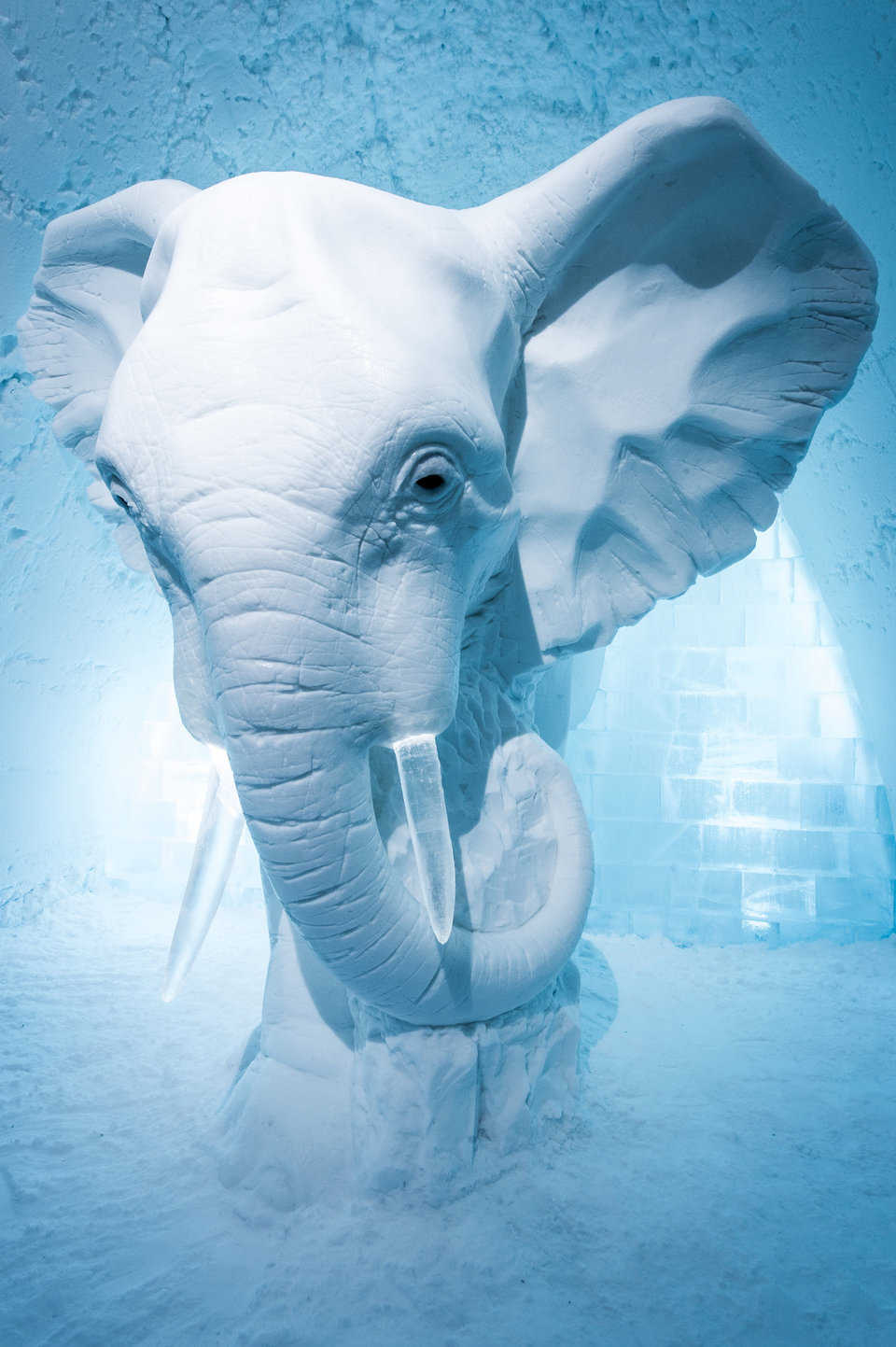 “Elephant in the Room” by AnnaSofia Mååg.