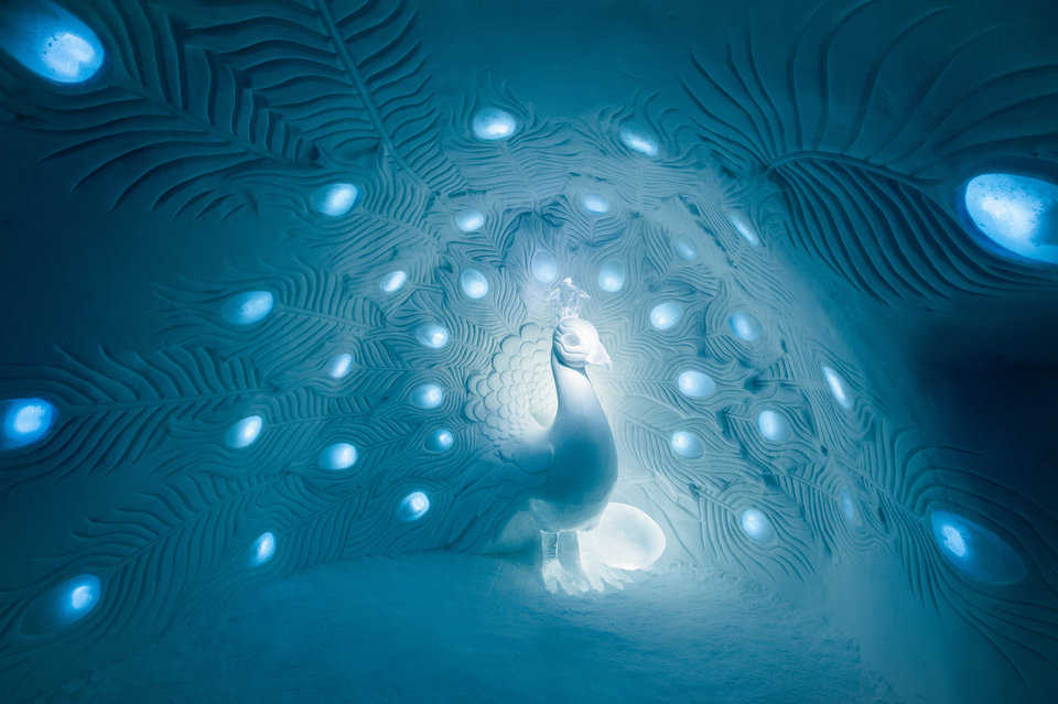 “Show Me What You Got” by Tjåsa Gusfors & David Andrén.