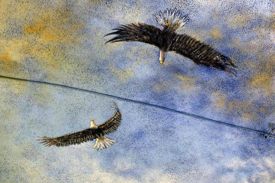 Eagles on ceiling