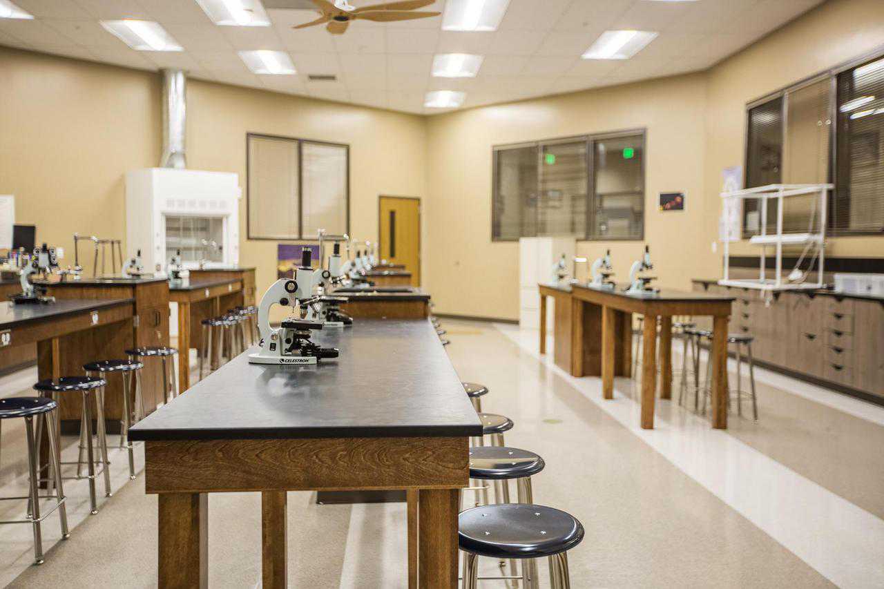 Microscopes in the lab
