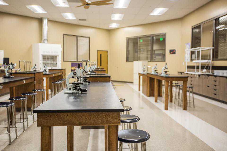 Microscopes in the lab