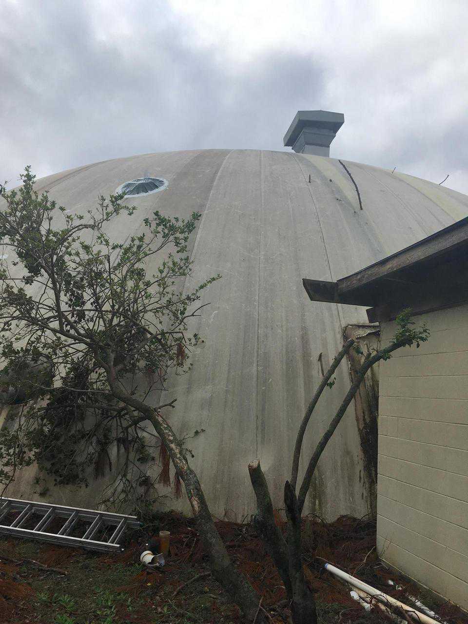 Branches sticking out of dome