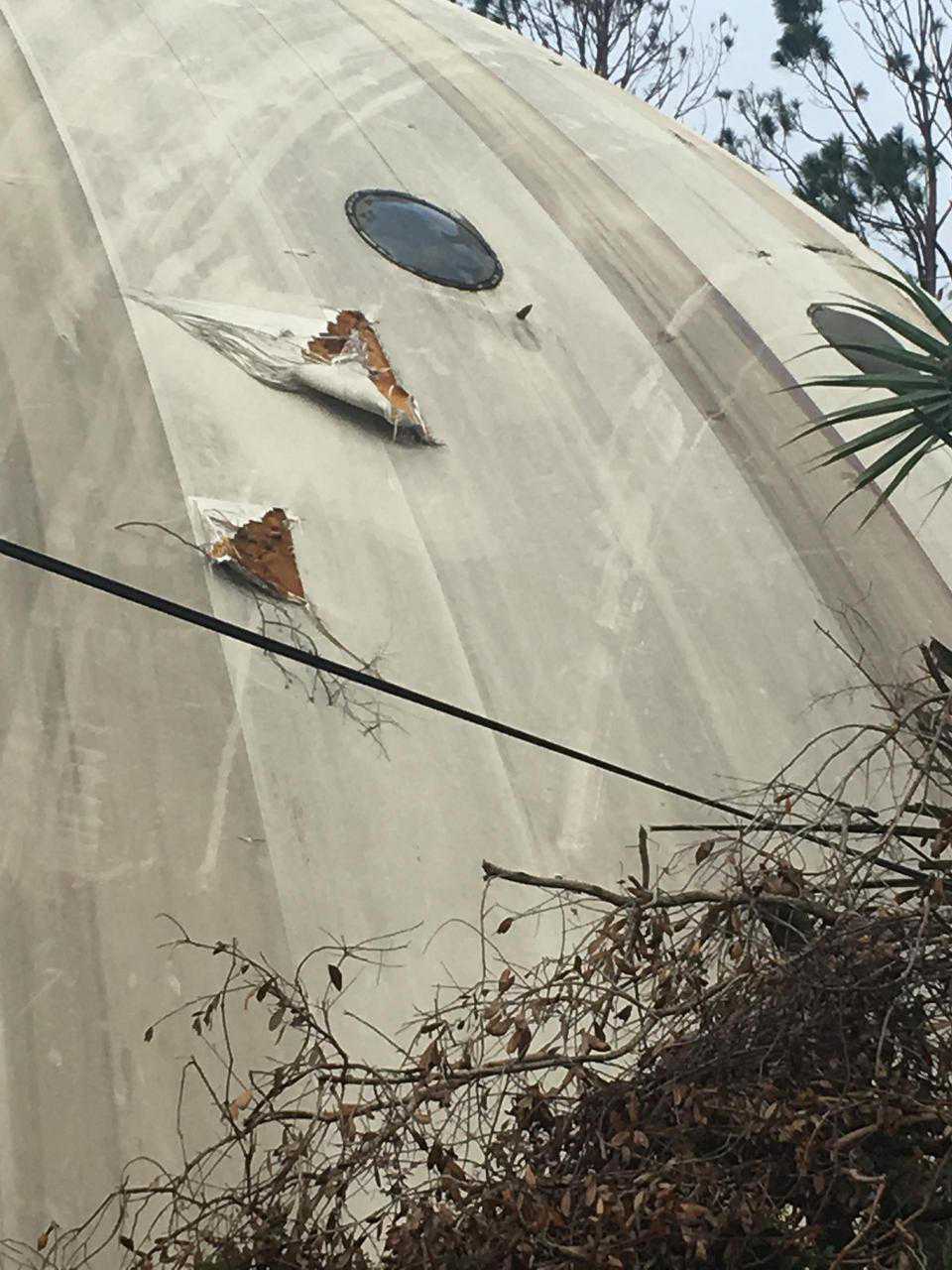 Damage from tree strike